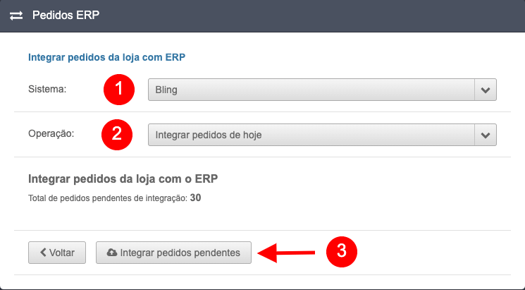 Integrando pedidos com o Bling ERP